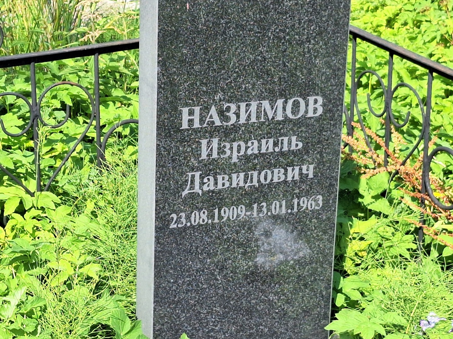 Израиль Назимов Давидович