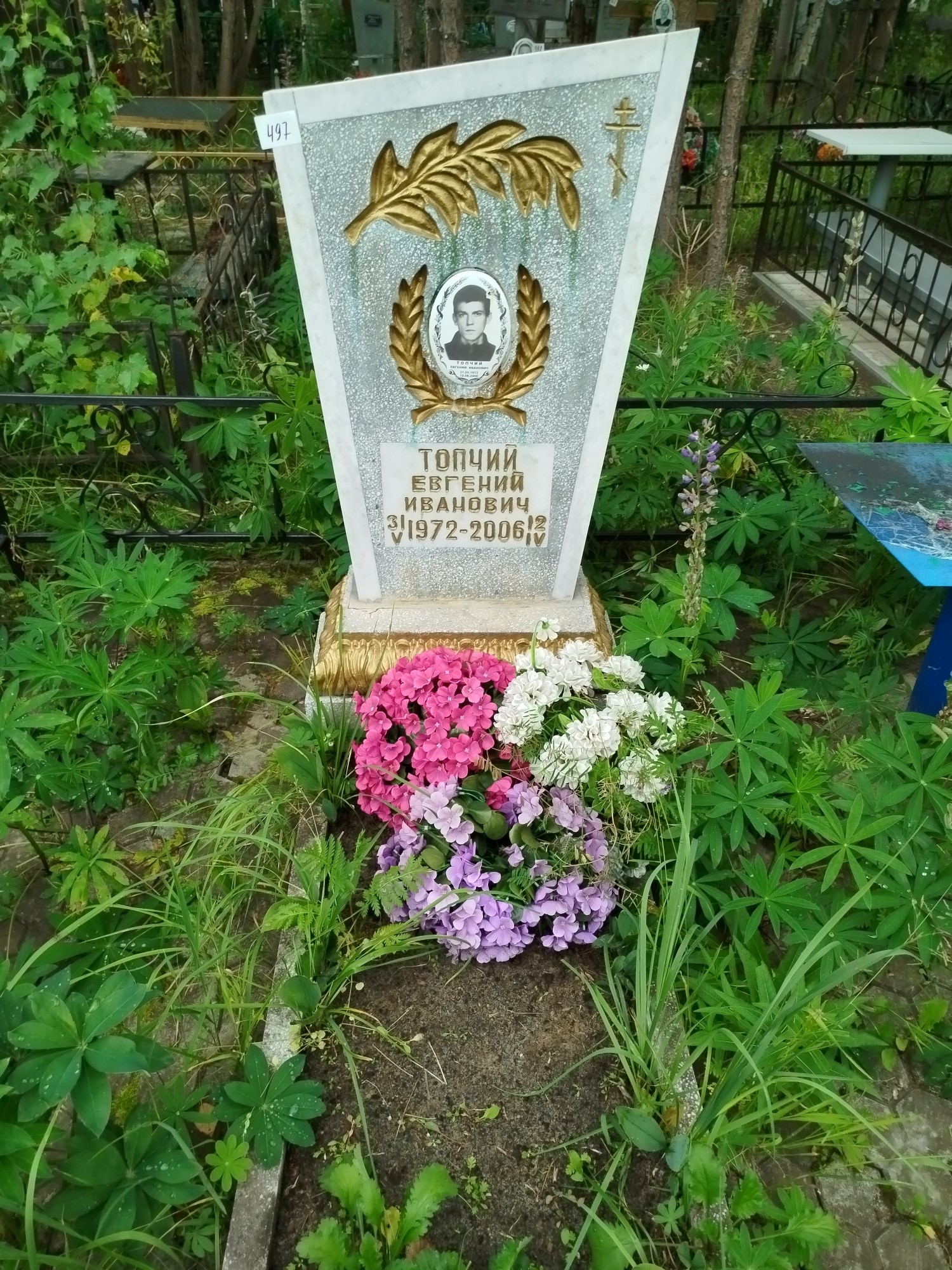 Топчий Евгений Иванович