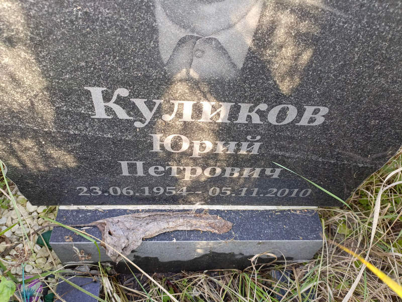 Куликов