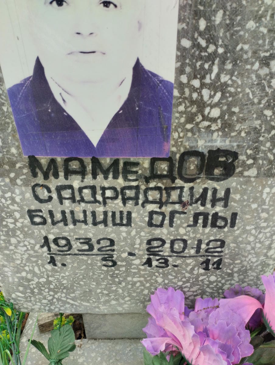 Мамедов Садраддин Биниш