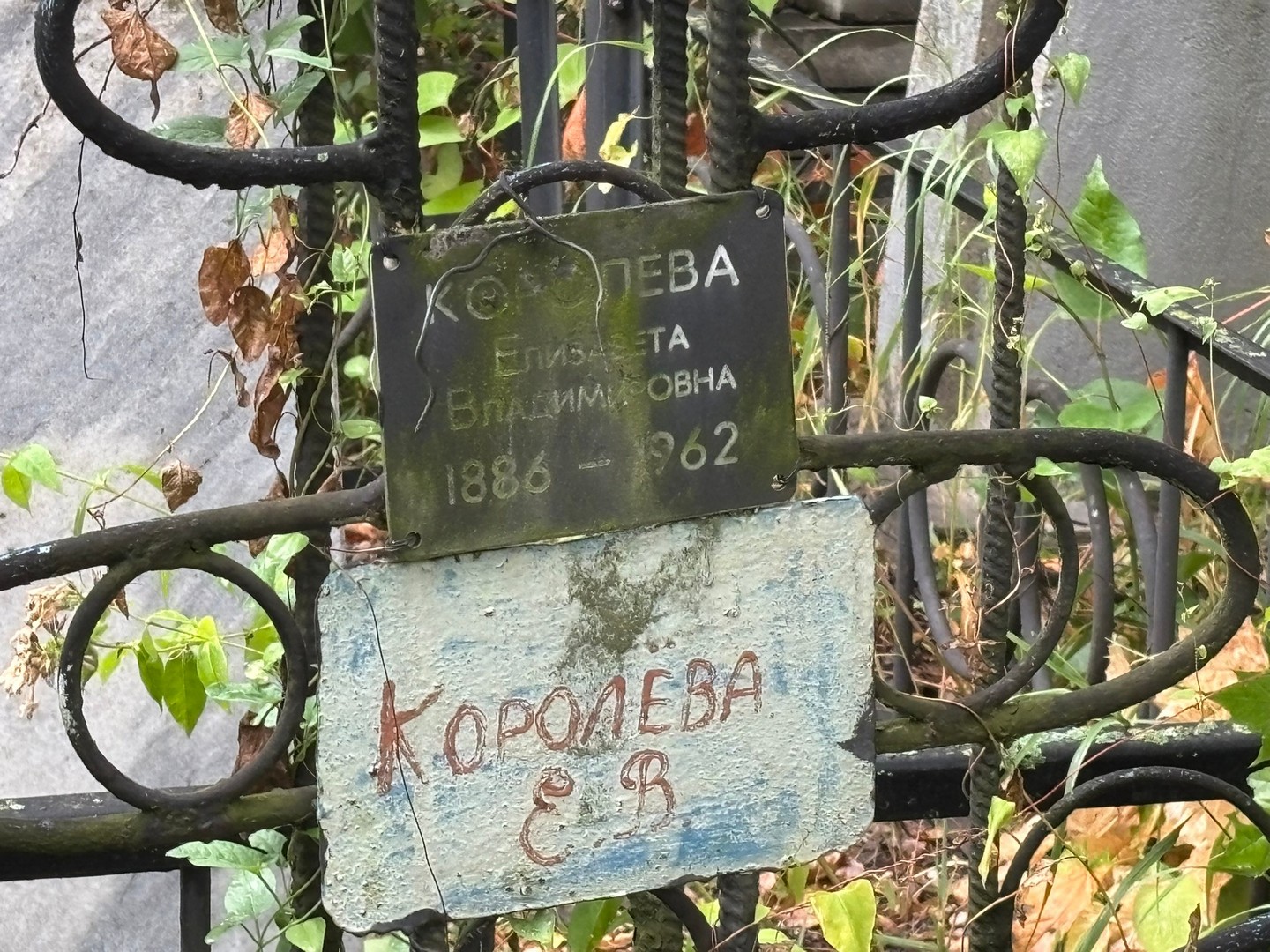 Королева