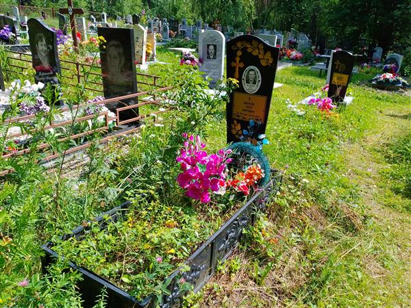 Волков Пётр Вирович