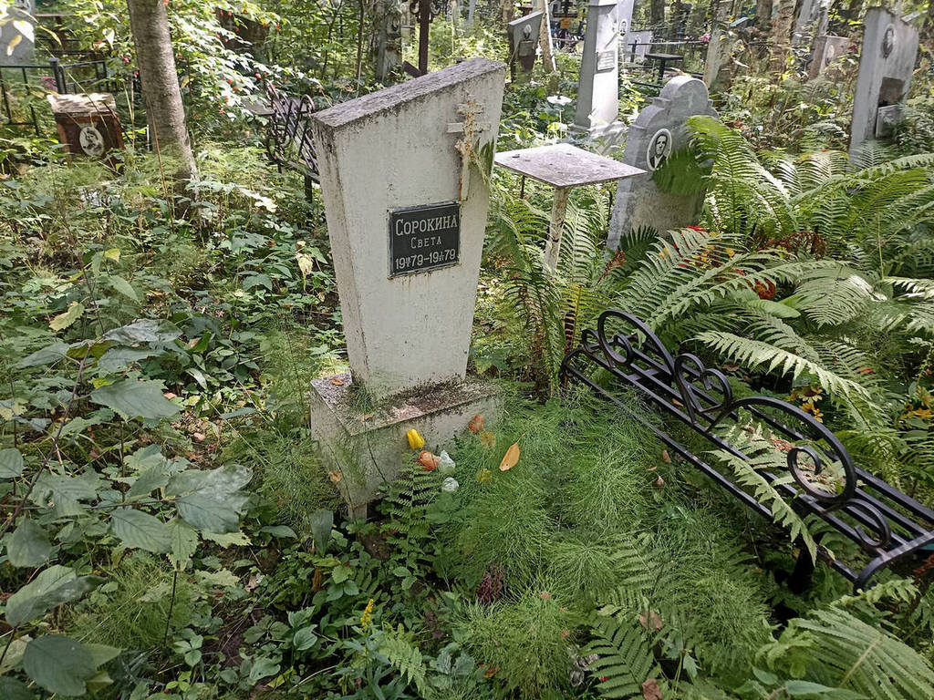Сорокина Светлана