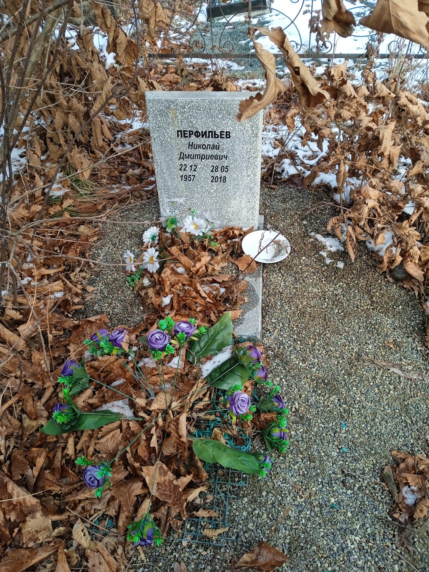 Перфильев Николай Дмитриевич