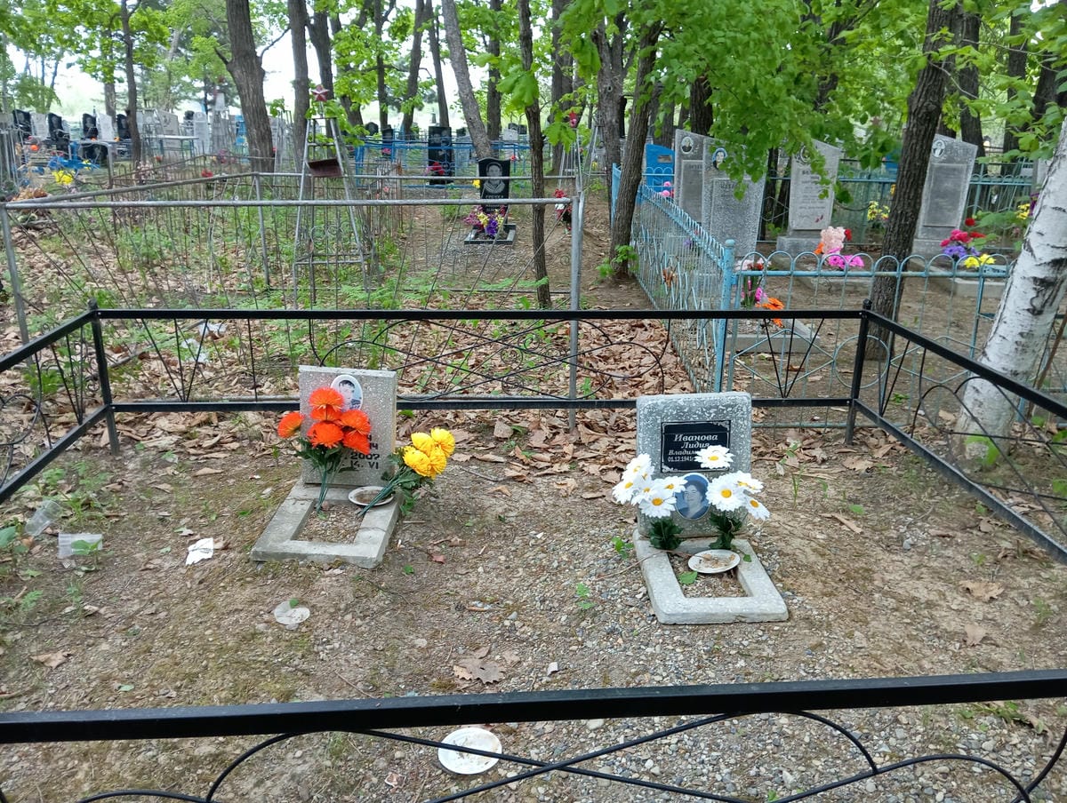 Иванов Владелен Дмитриевич