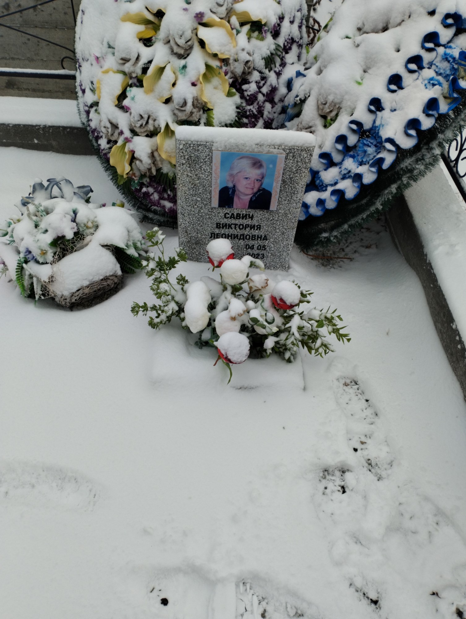 Савич Виктория Леонидовна
