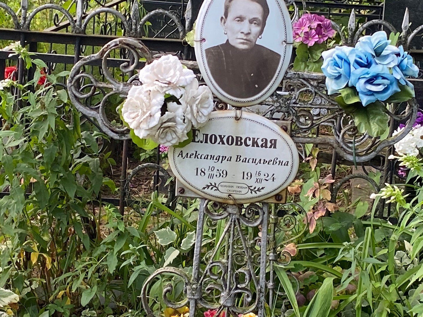 Елоховская Александра Васильевна