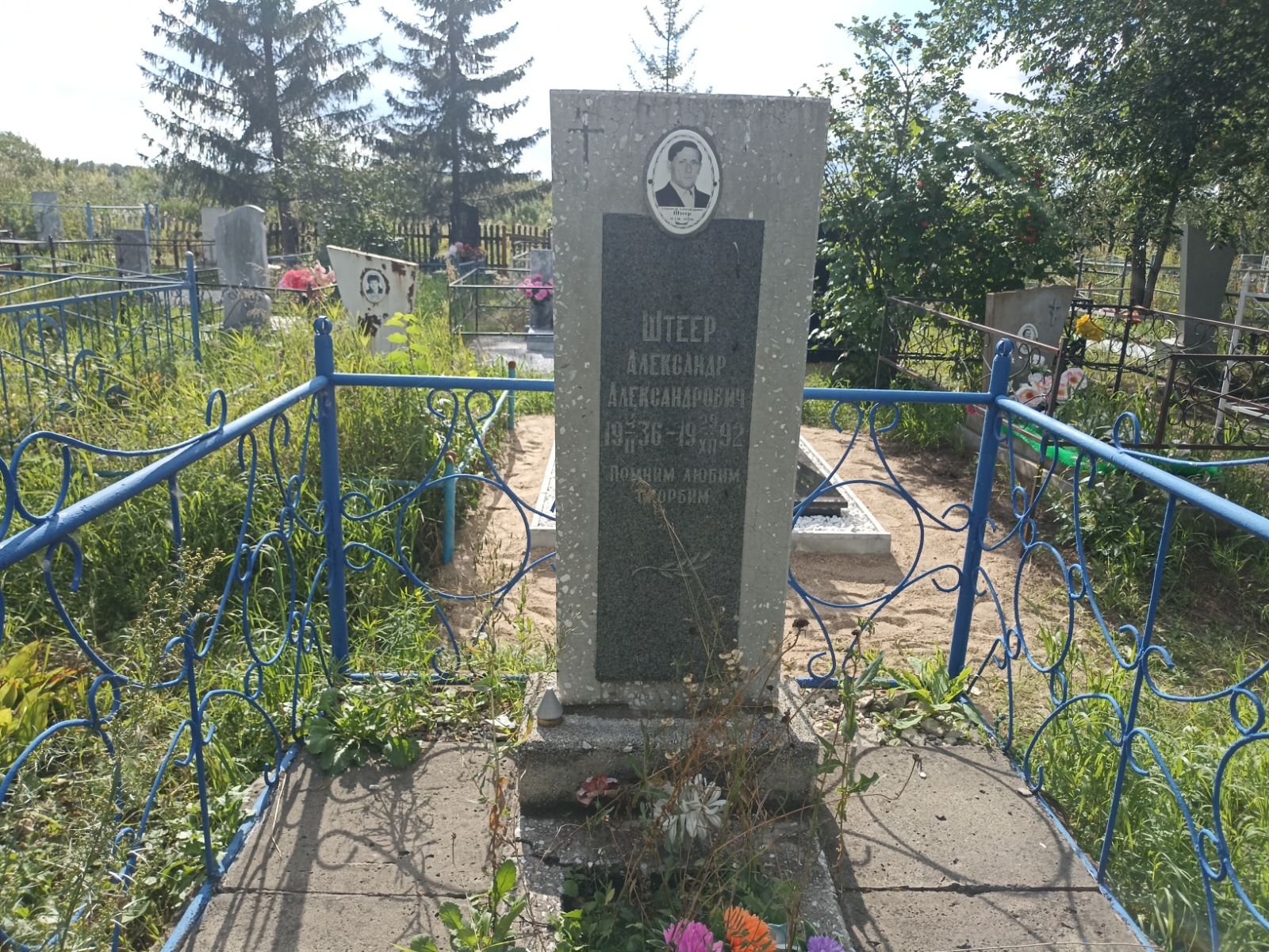 Штеер Александр Александрович
