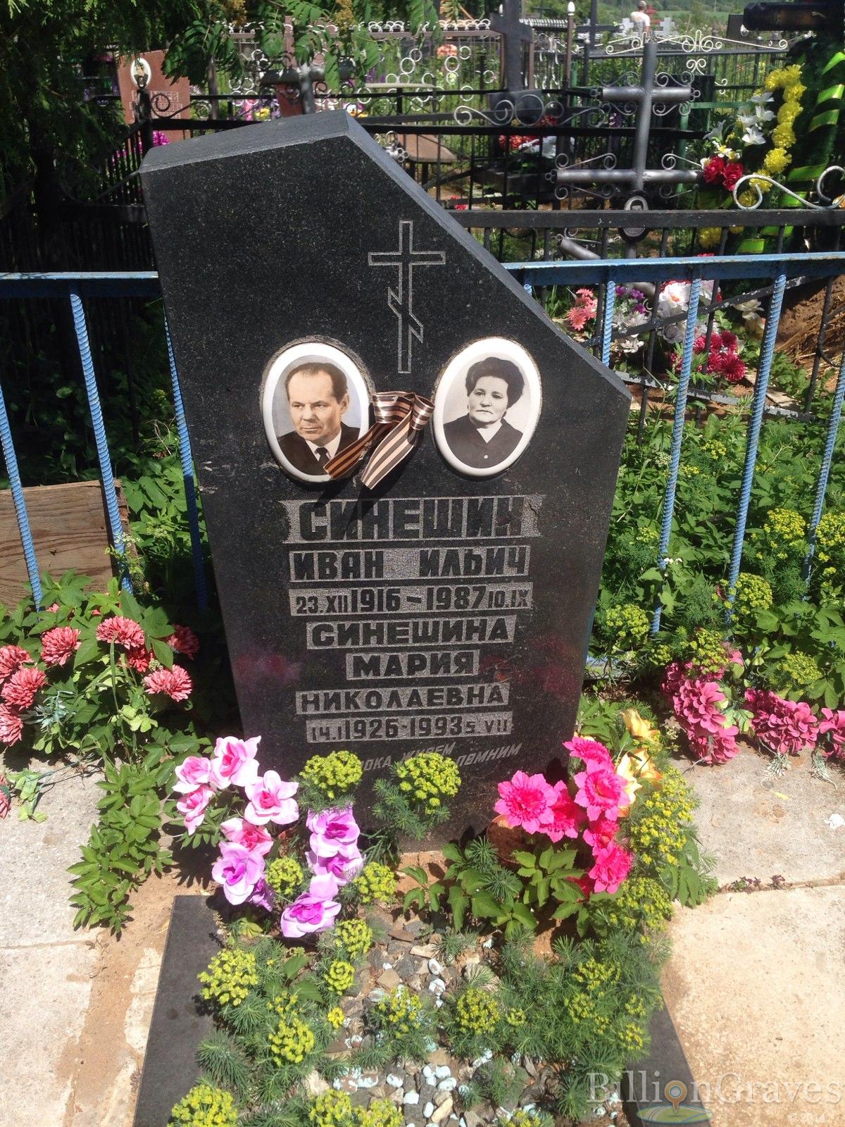 Синешина Мария Николаевна
