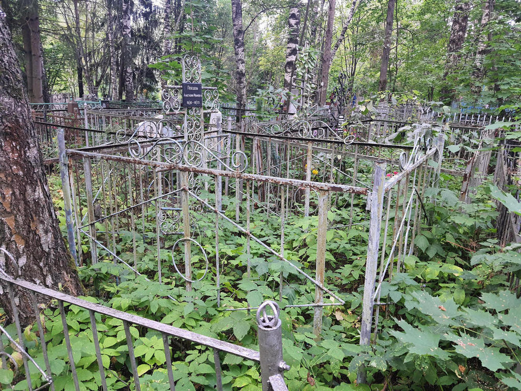 Лебедева Анастасия Ивановна