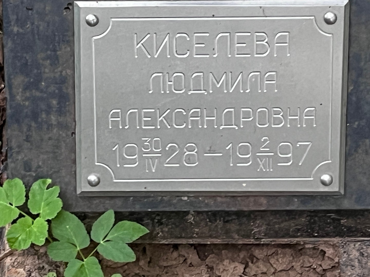 Киселева