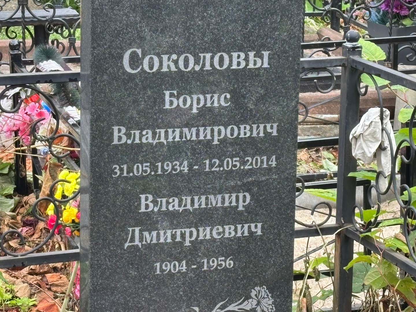 Соколов