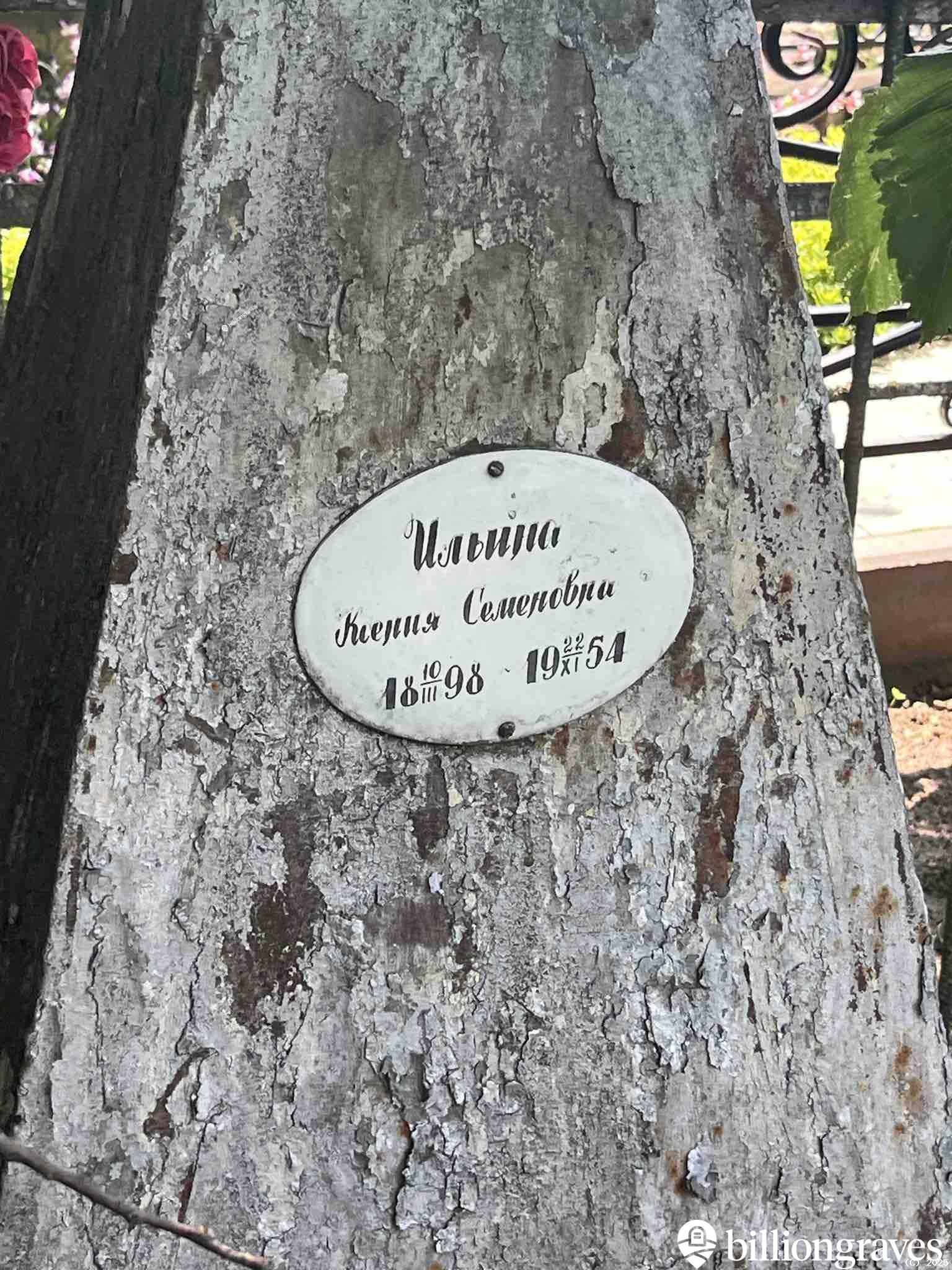 Ильина Ксения Семёновна