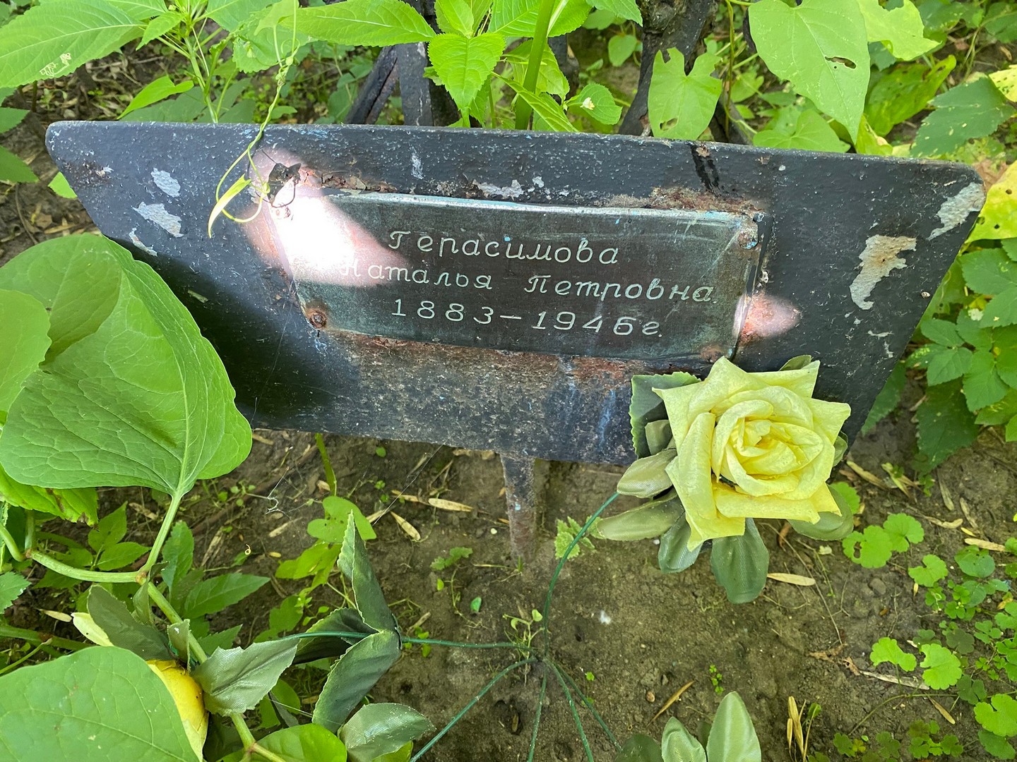 Герасимова