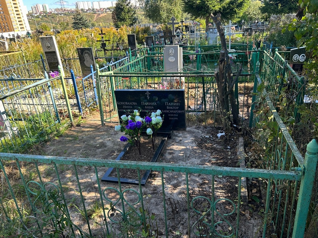 Панин Виктор Александрович