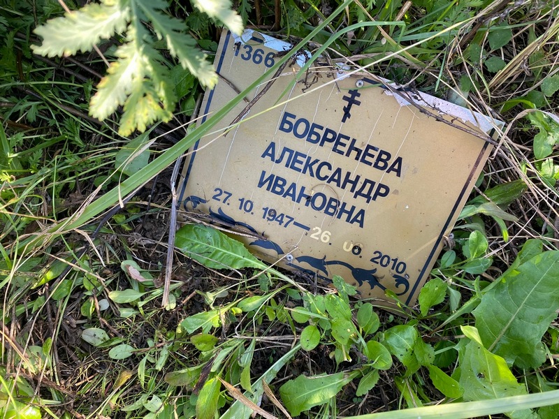 Бобренева