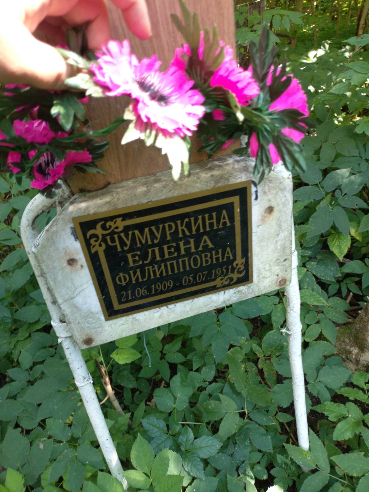 Чумуркина Елена Филипповна