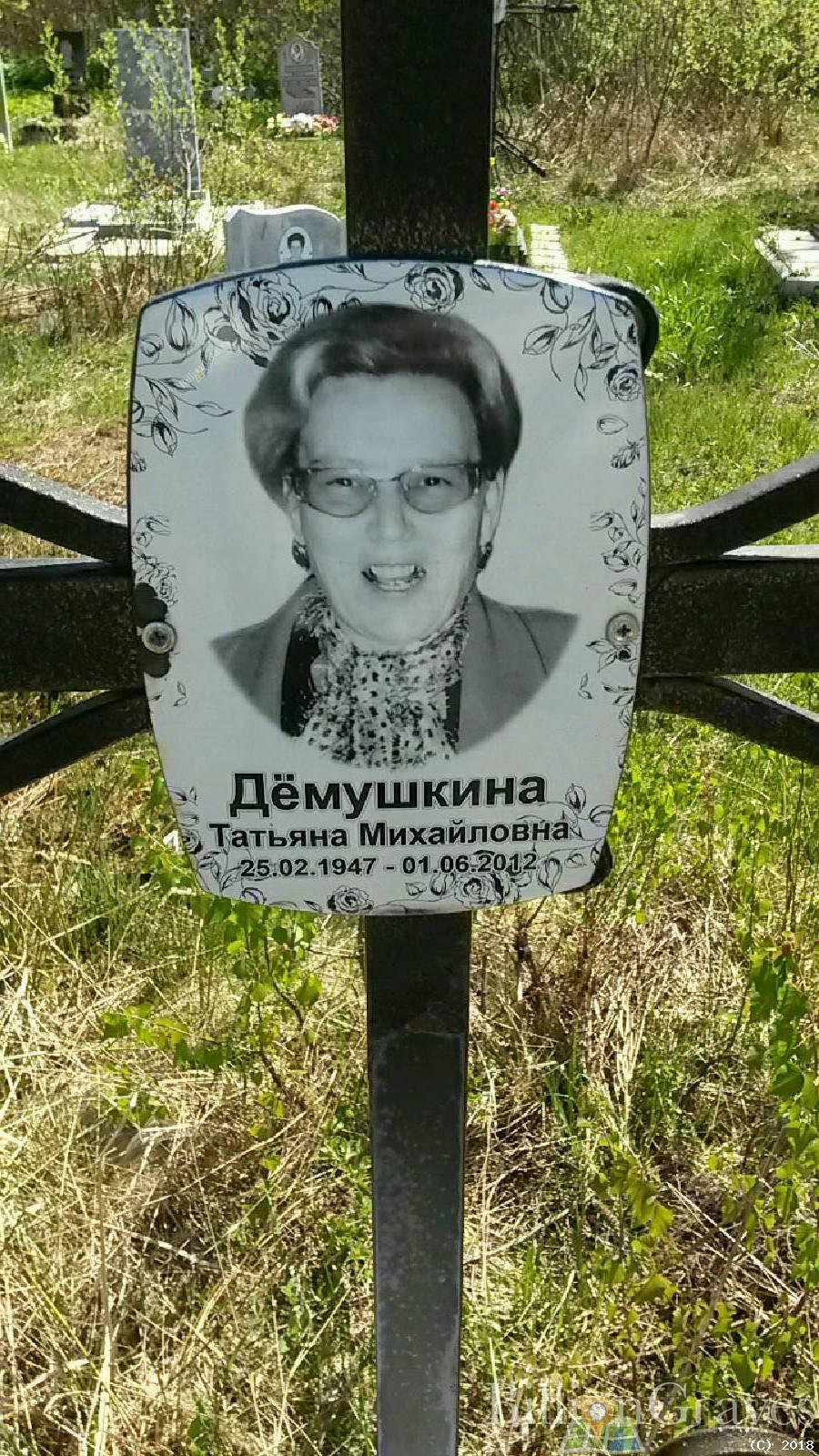 Дёмушкина Татьяна михайловна