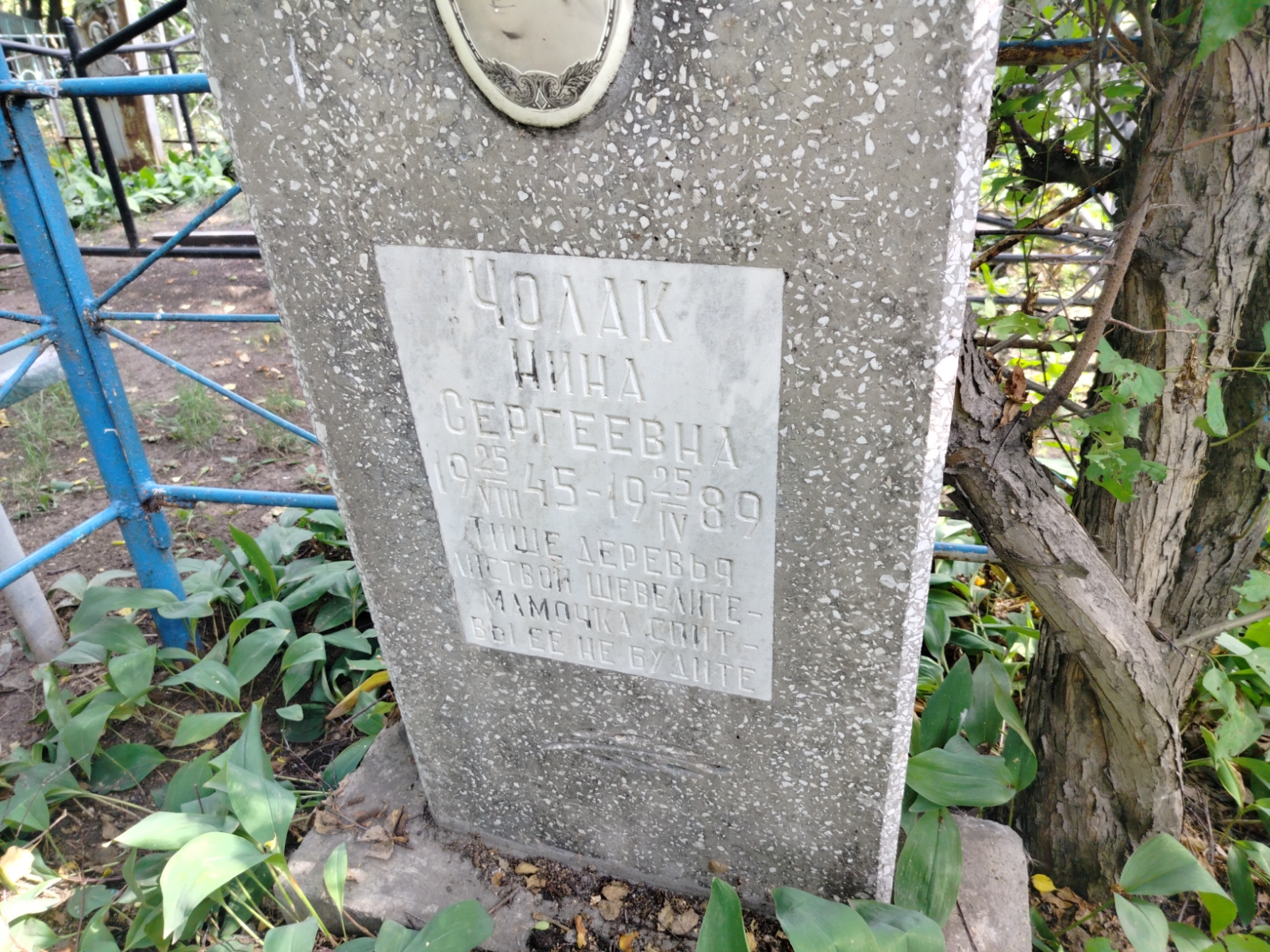 Чолак Нина Сергеевна