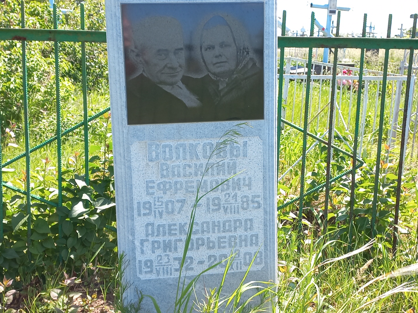 Волкова Александра Григорьевна
