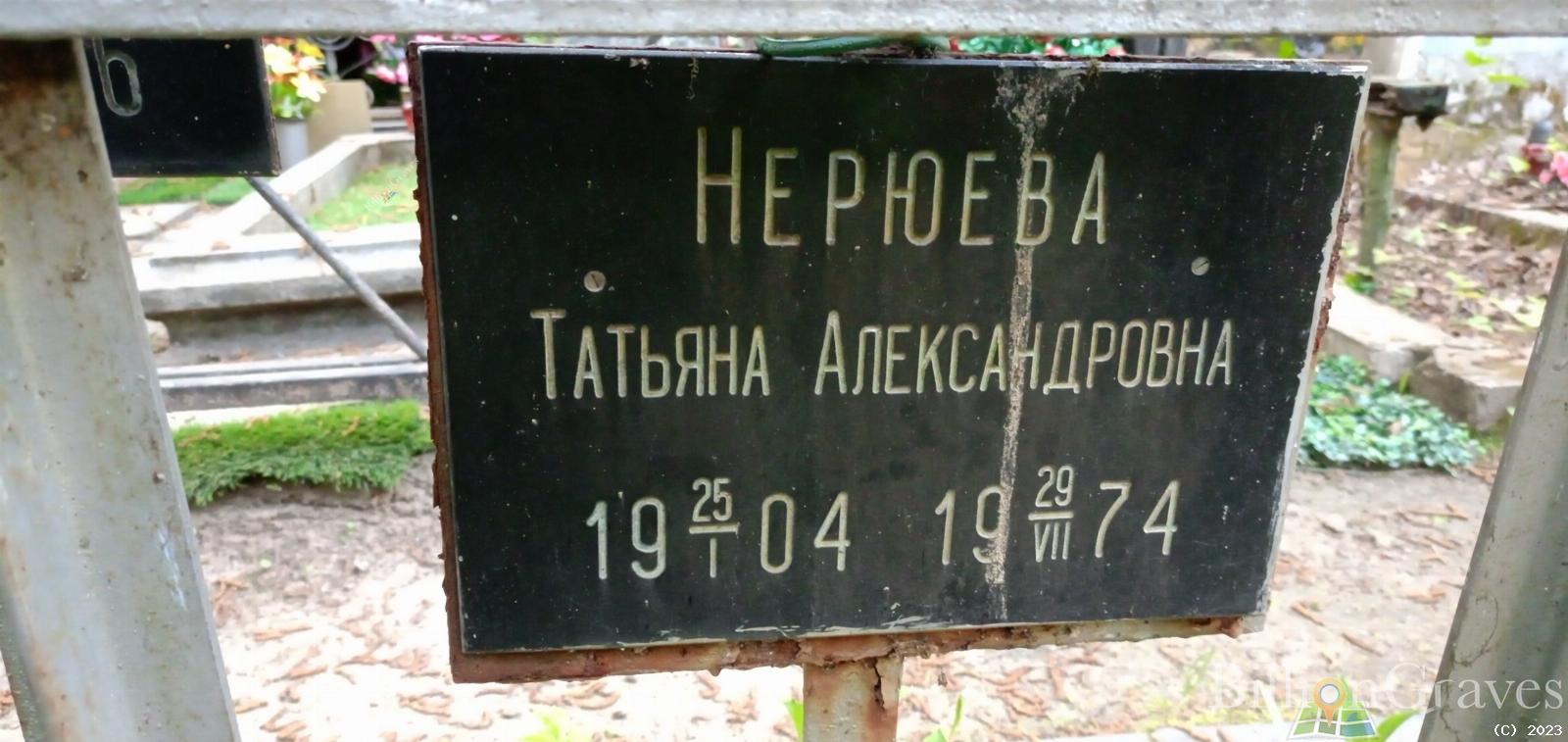 Нерюева Татьяна Александровна