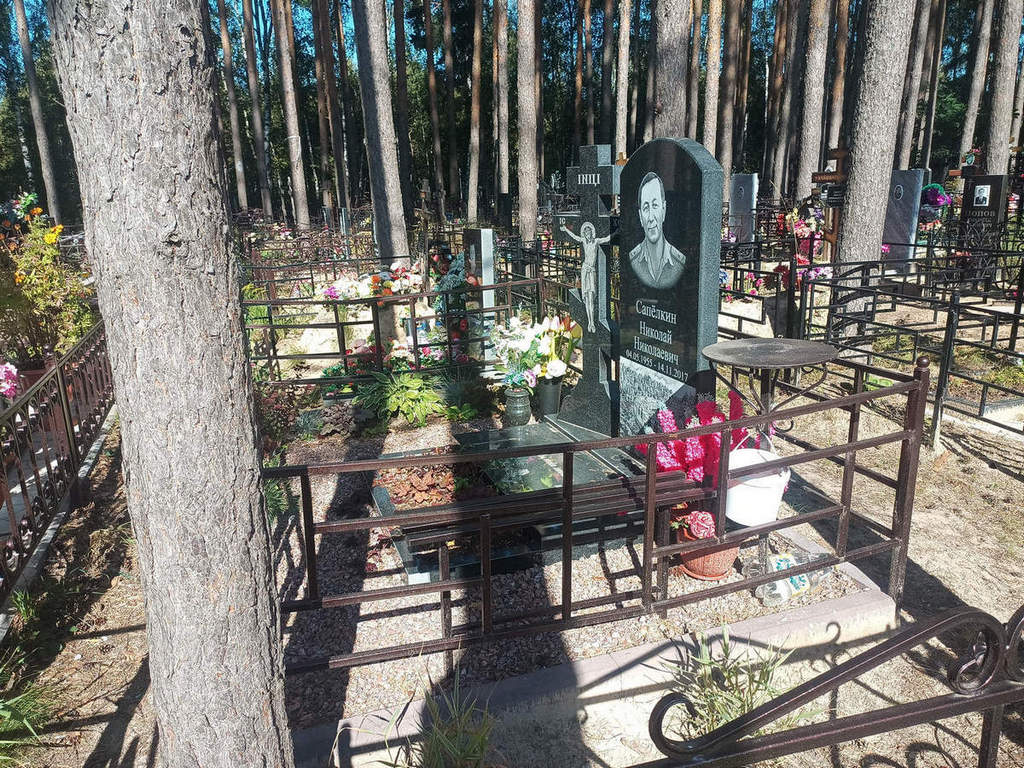 Сапелкин Николай Николаевич