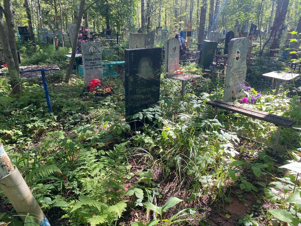 Шуягина Наталья Михайловна