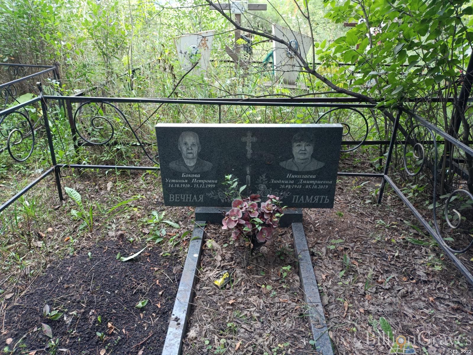 Николаева Людмила Дмитриевна