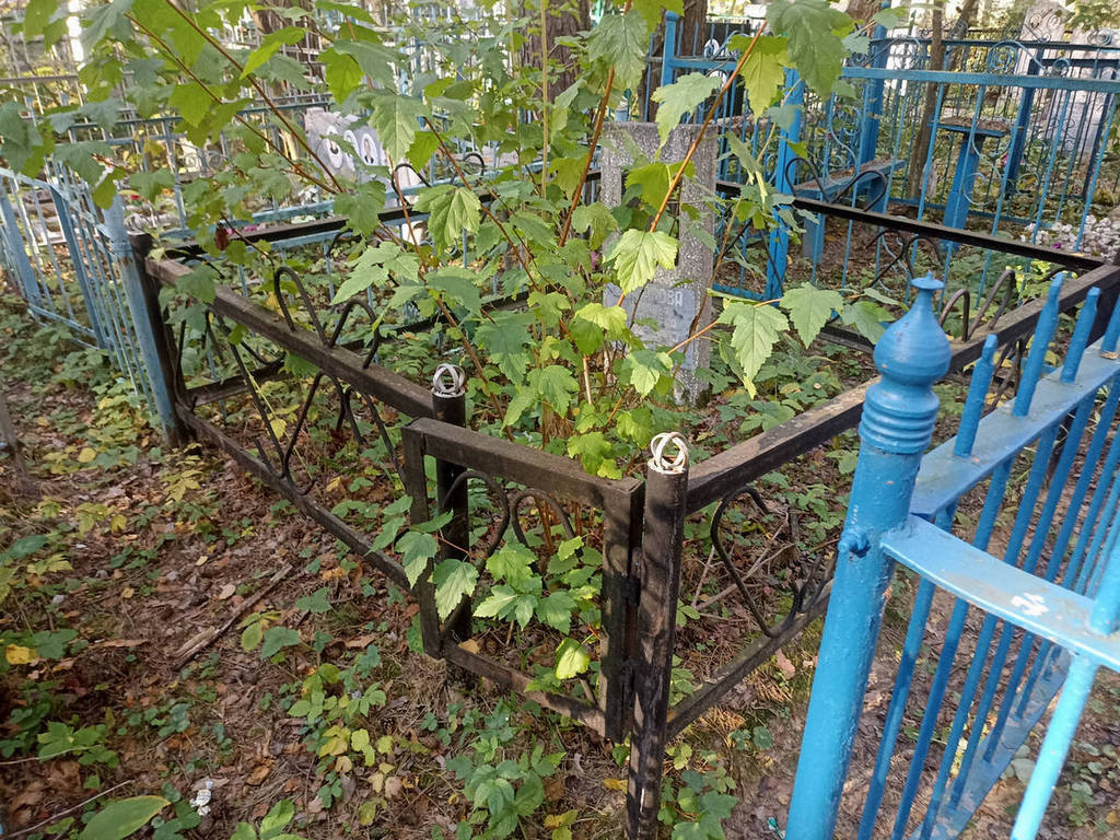 Шабанова Наталья Викторовна