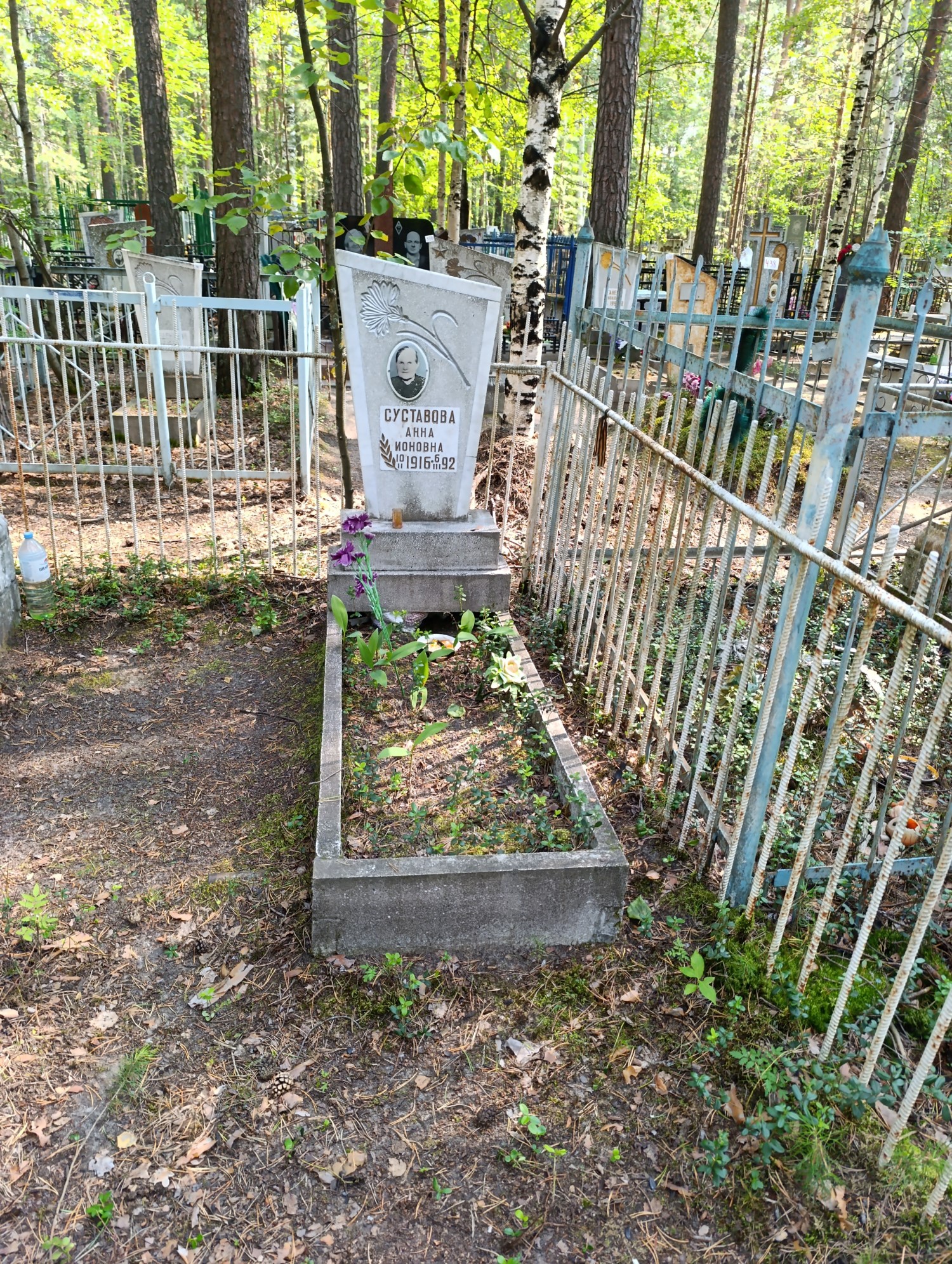 Суставова Анна Ионовна