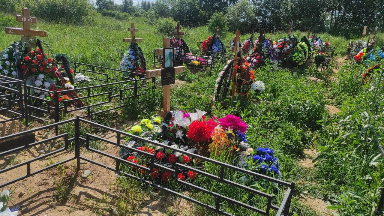 Иволга