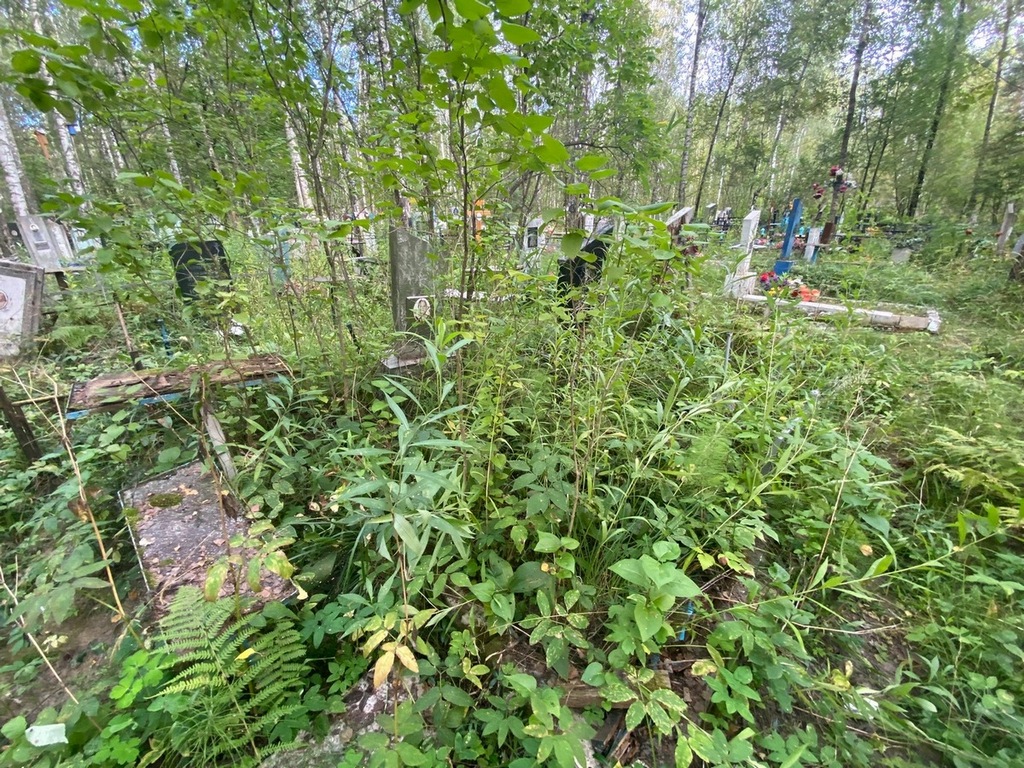 Железина Пелагея Сергеевна