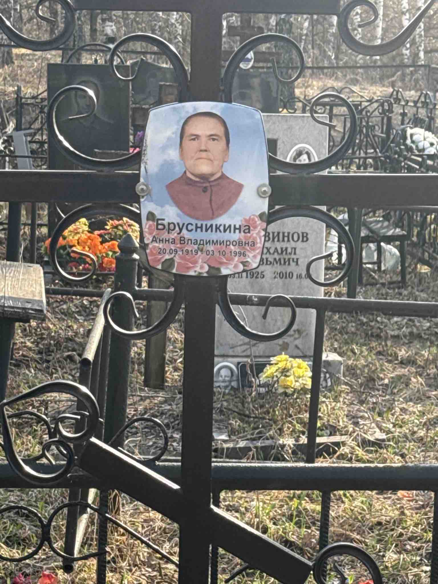Брусникина Анна Владимировна