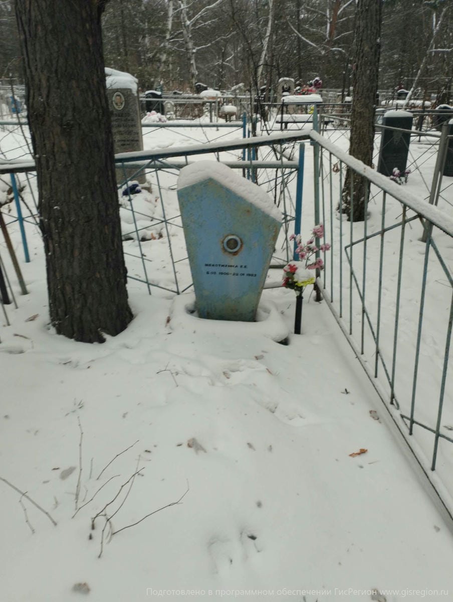 Щекотихина Е Е
