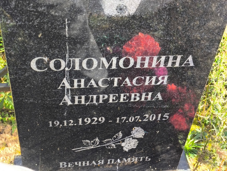 Соломонина Анастасия Андреевна