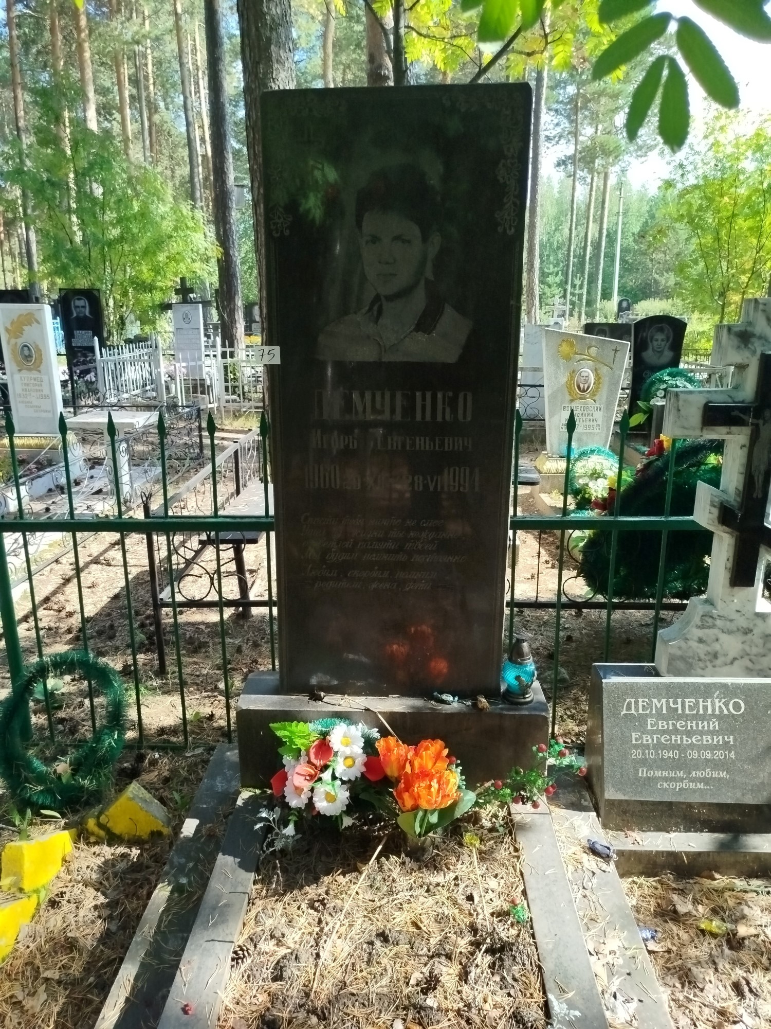 Демченко Игорь Евгеньевич