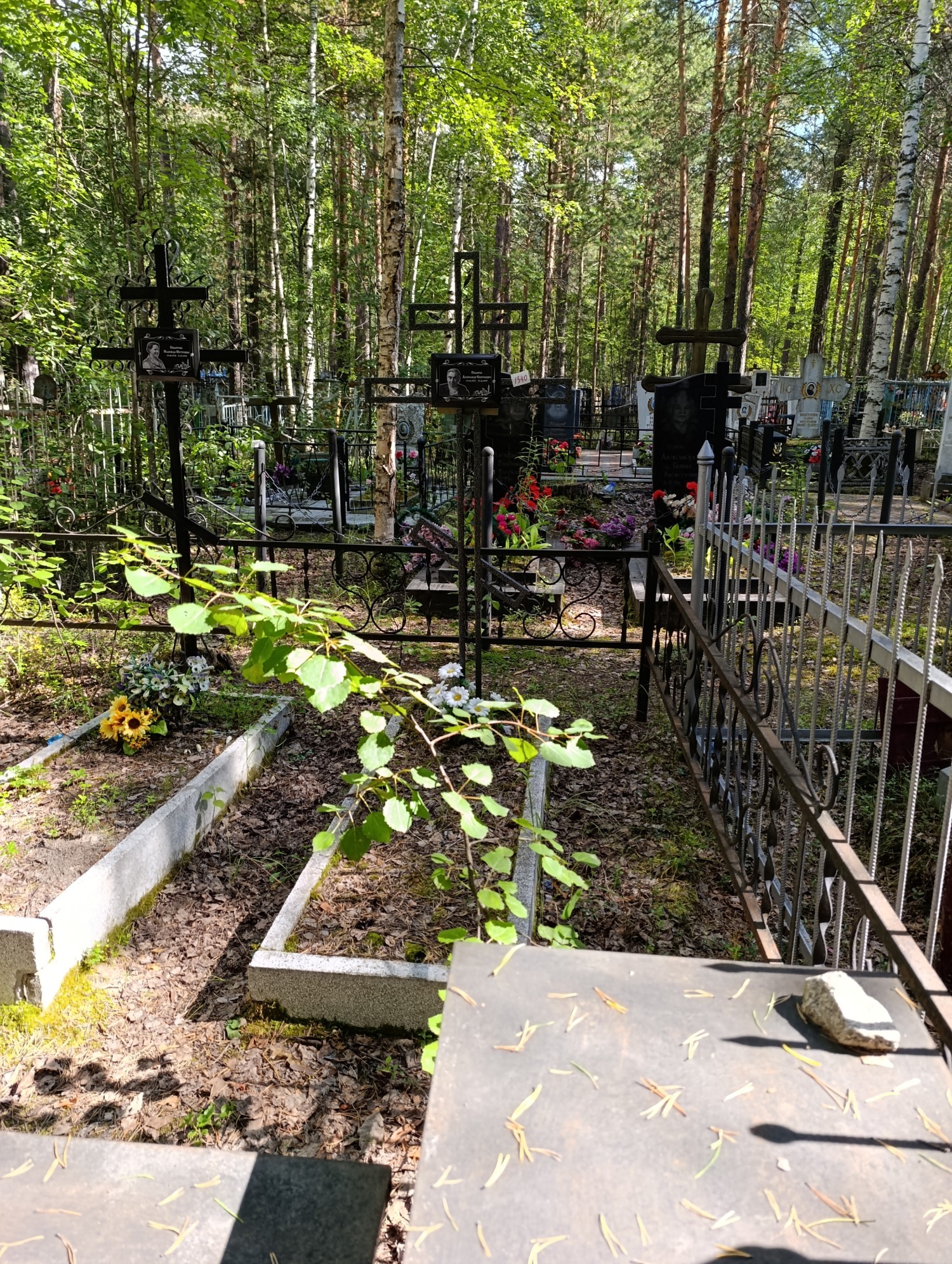 Сидоров Александр Сергеевич