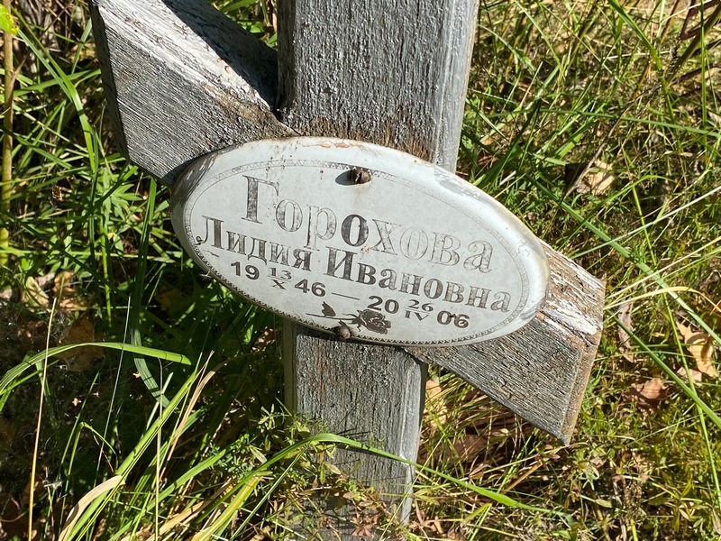 Горохова