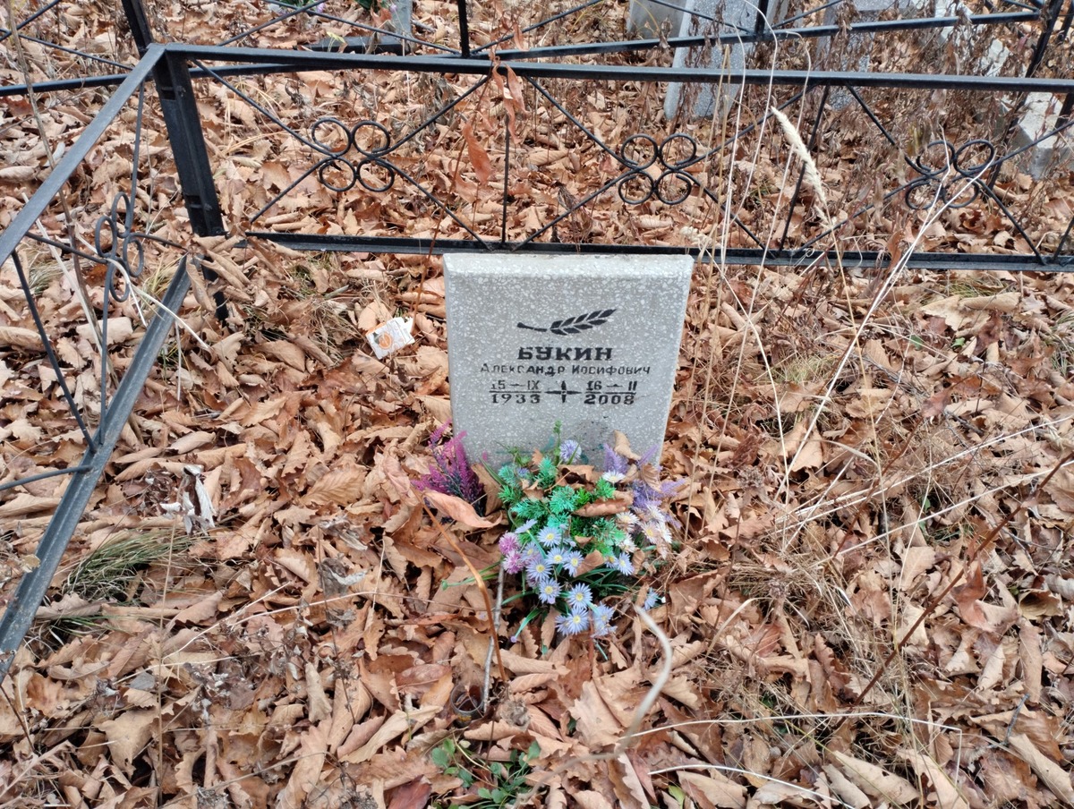 Букин Александр Иосифович