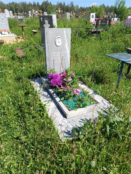 Снегирев Валентин Николаевич