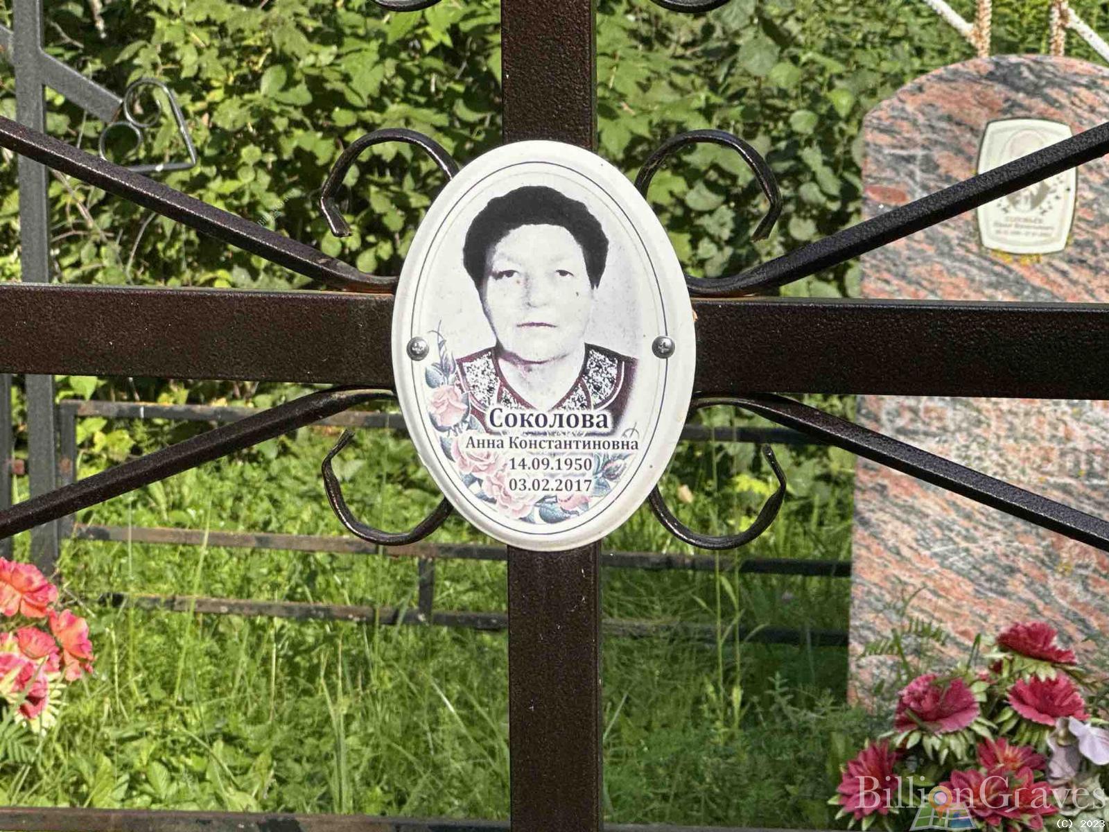 Соколова Анна Константиновна