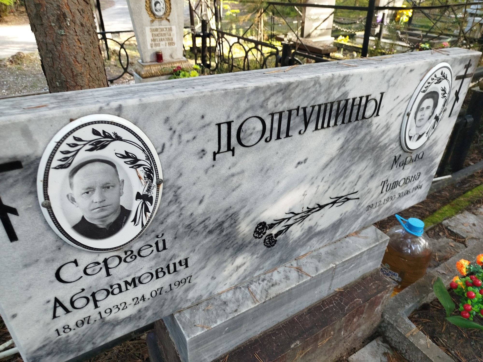 Долгушин Сергей Абрамович