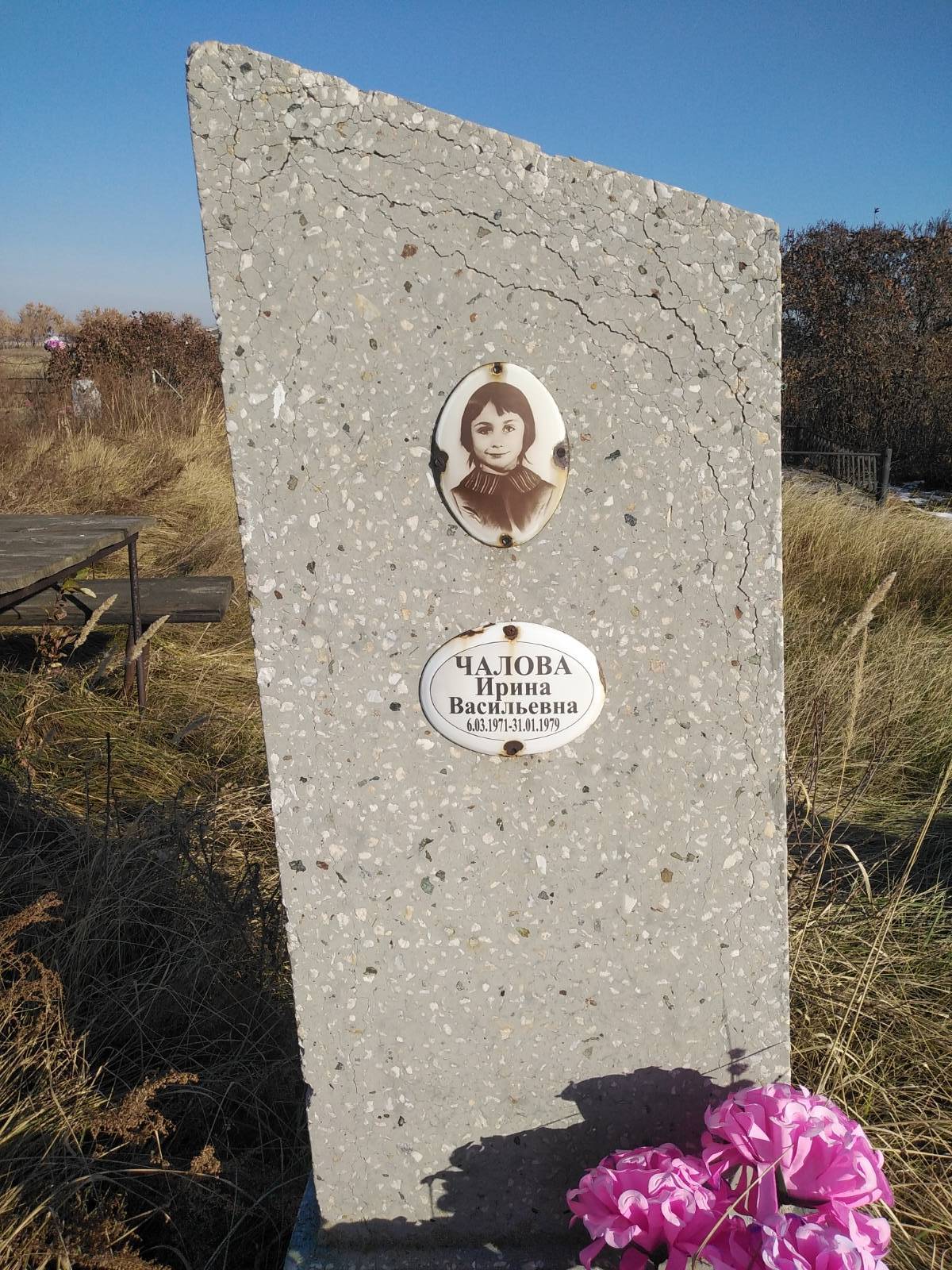 Чалова Ирина Васильевна