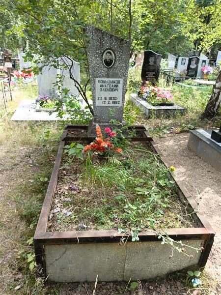 Большаков Анатолий Павлович