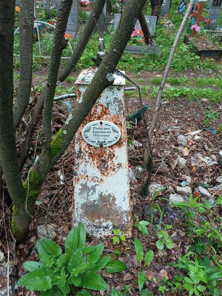 Родыгина Анастасия Павловна