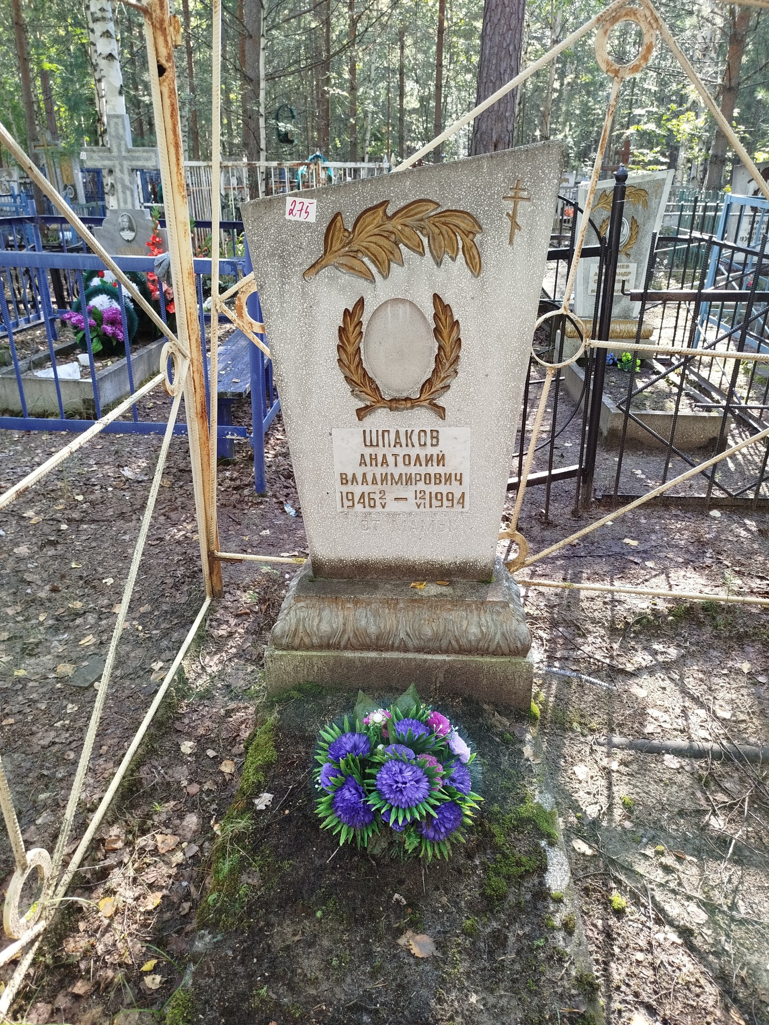 Шпаков Анатолий Владимирович