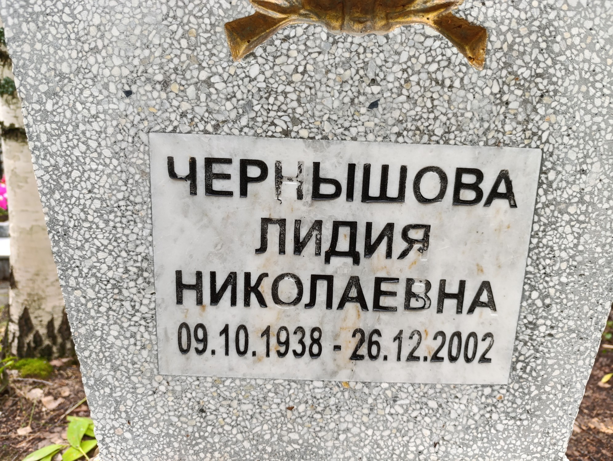 Чернышова Лидия Николаевна