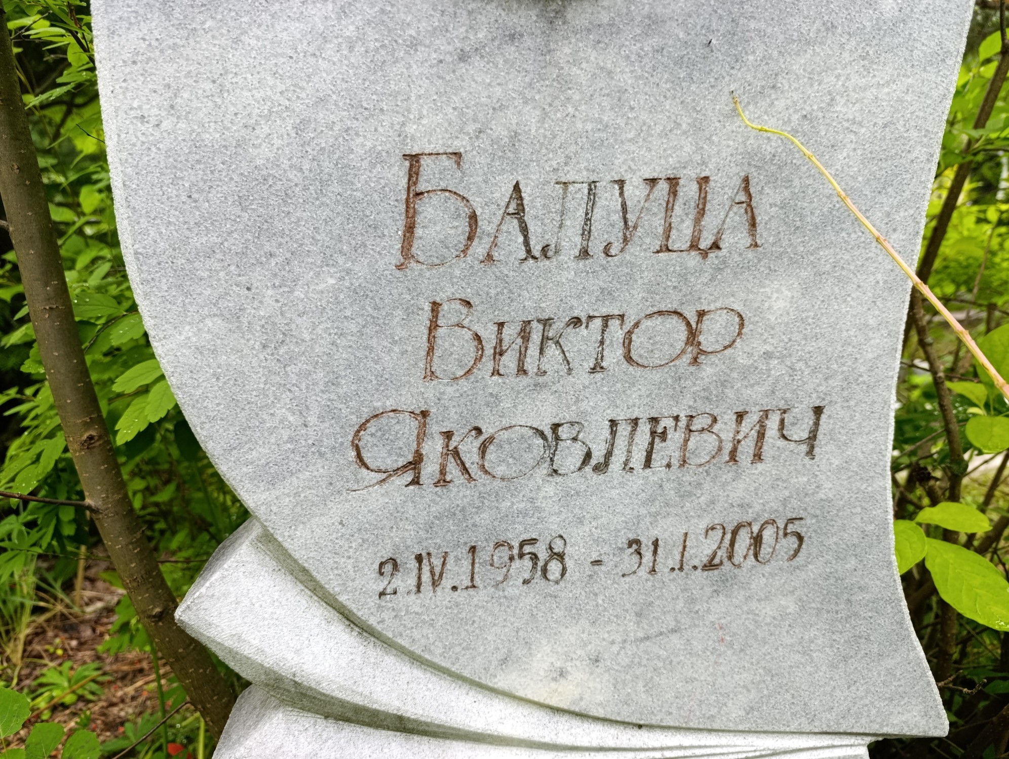 Балуца Виктор Яковлевич