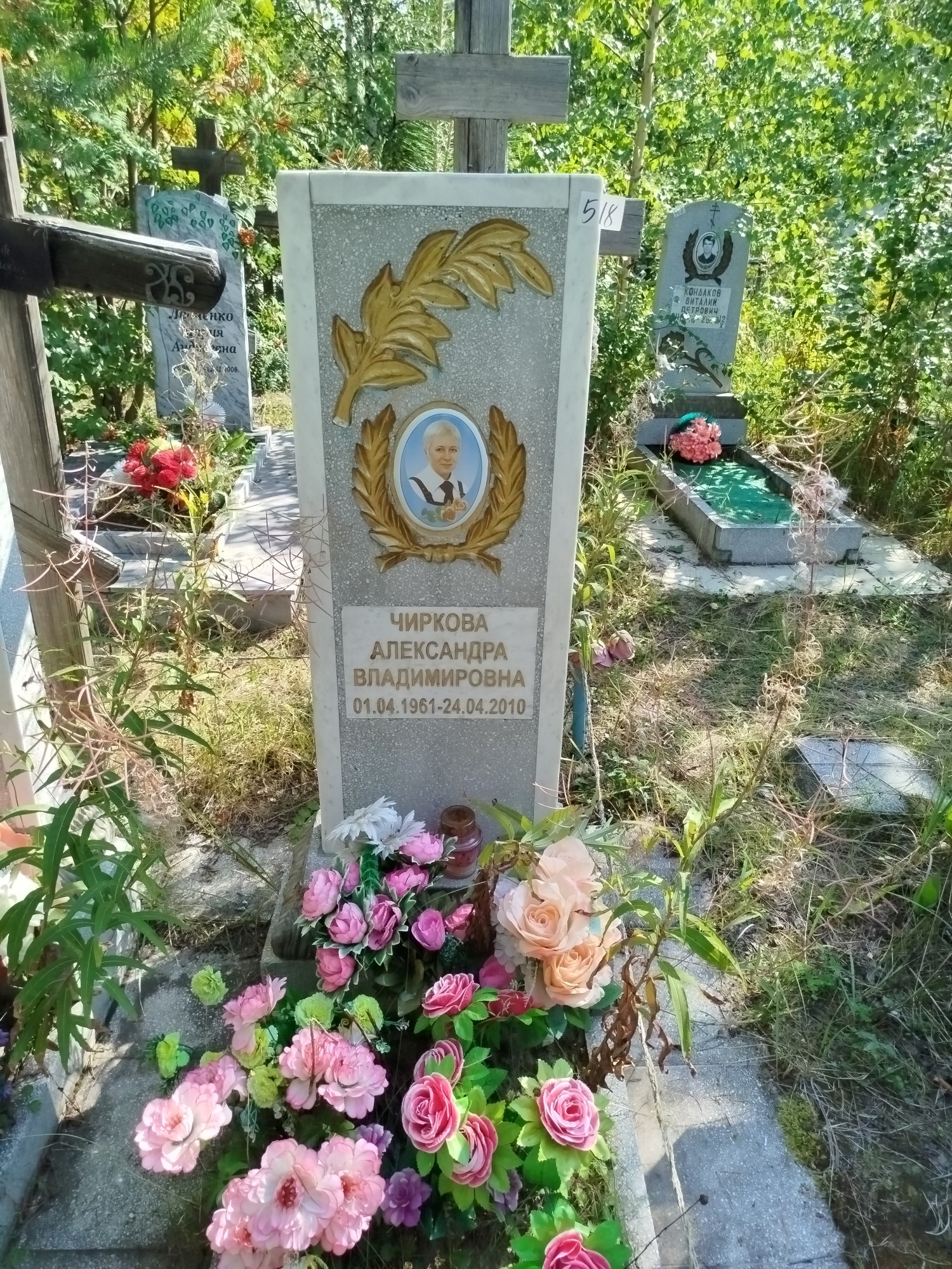 Чиркова Александра Владимировна