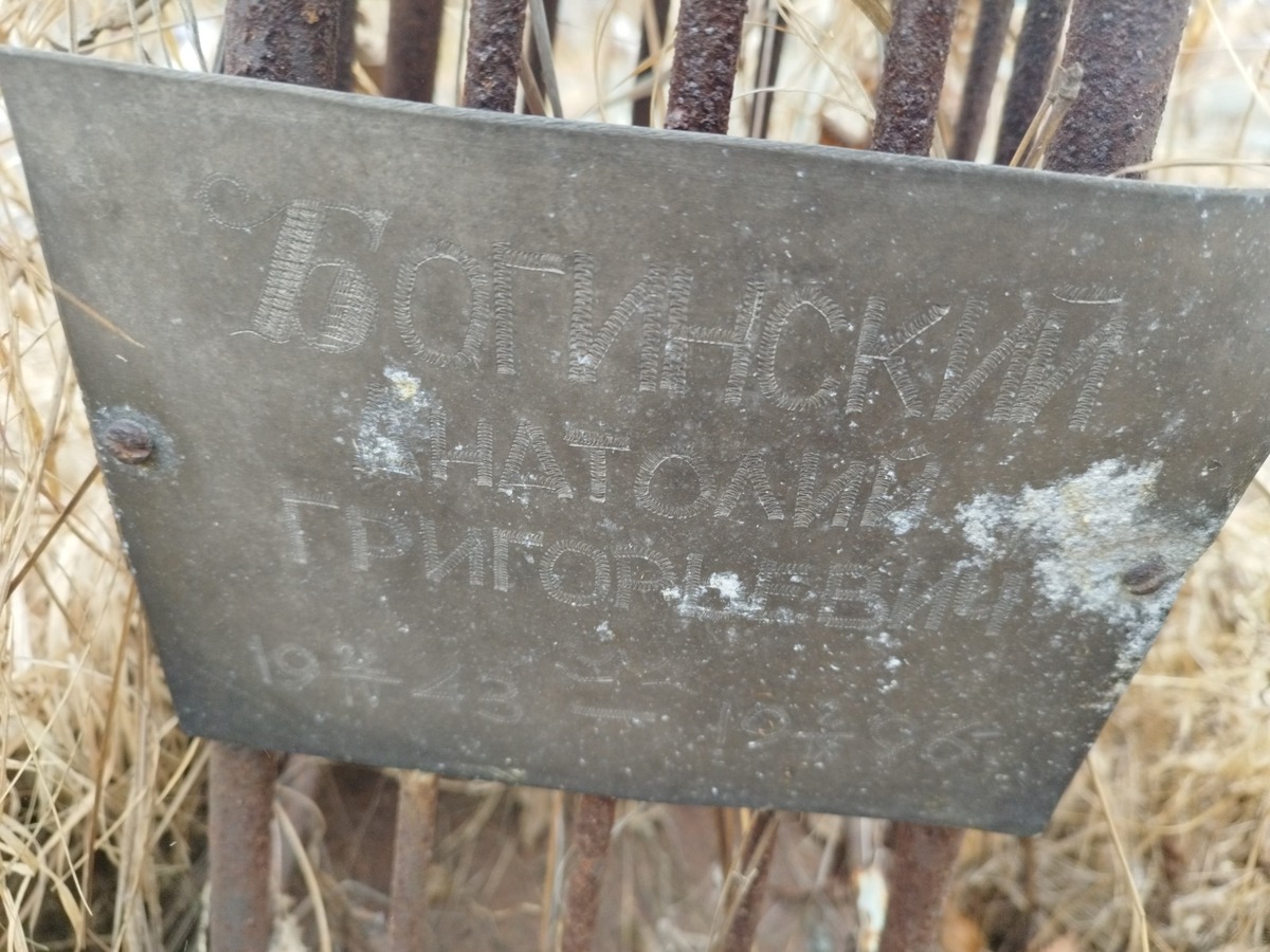Богинский Анатолий Григорьевич
